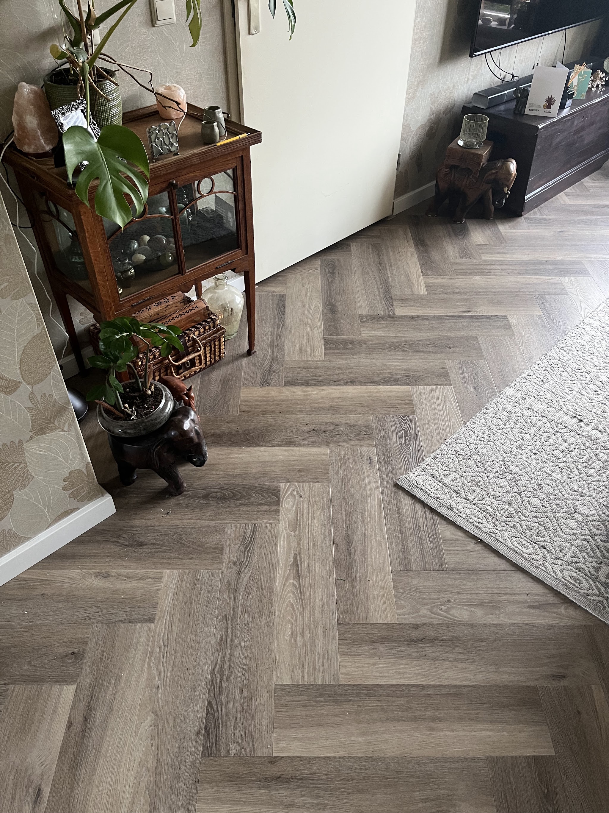 Een visgraatvloer in een woonkamer met planten en een vloerkleed